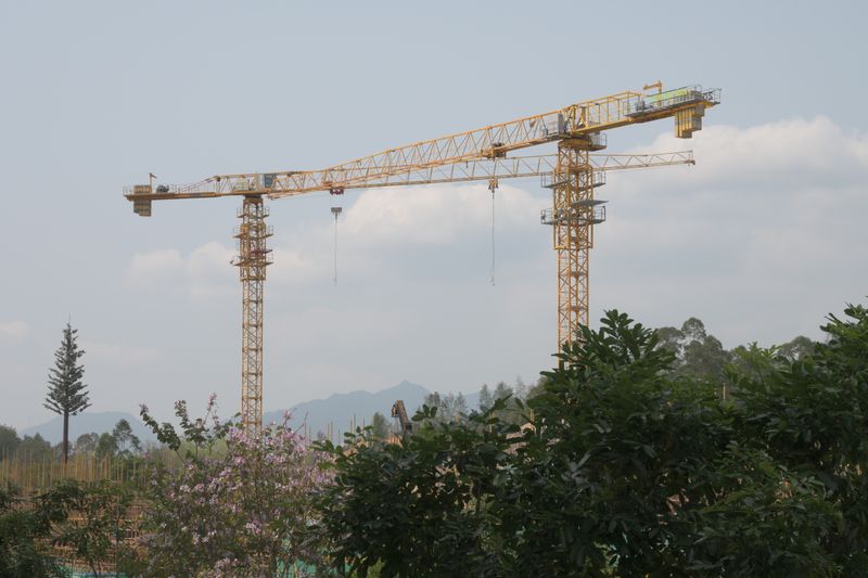 Construction site with tower cranes